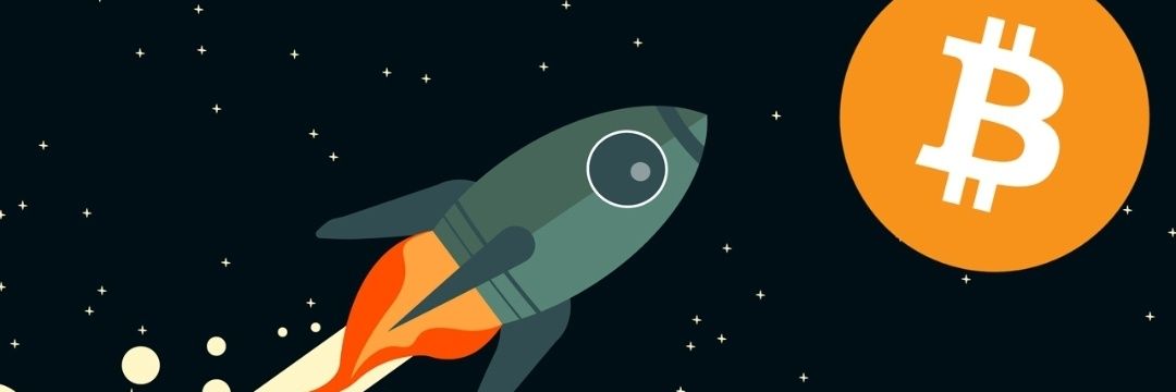 cryptokingsignl's profile banner image