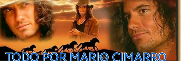 04Mario2014's profile banner image