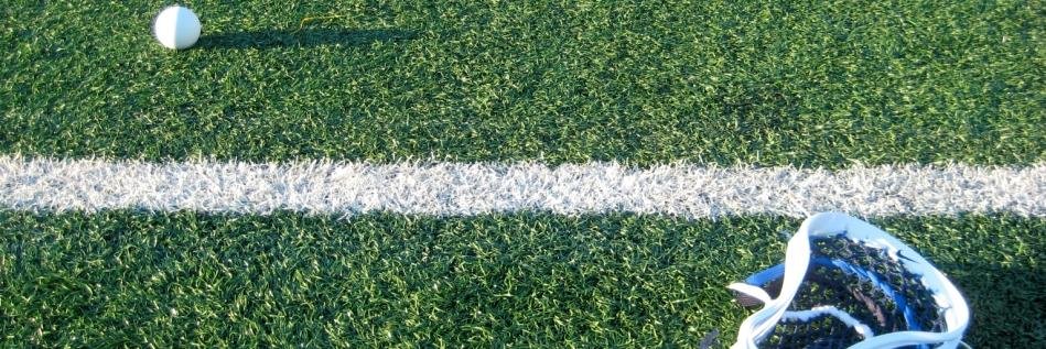Top String Lacrosse banner