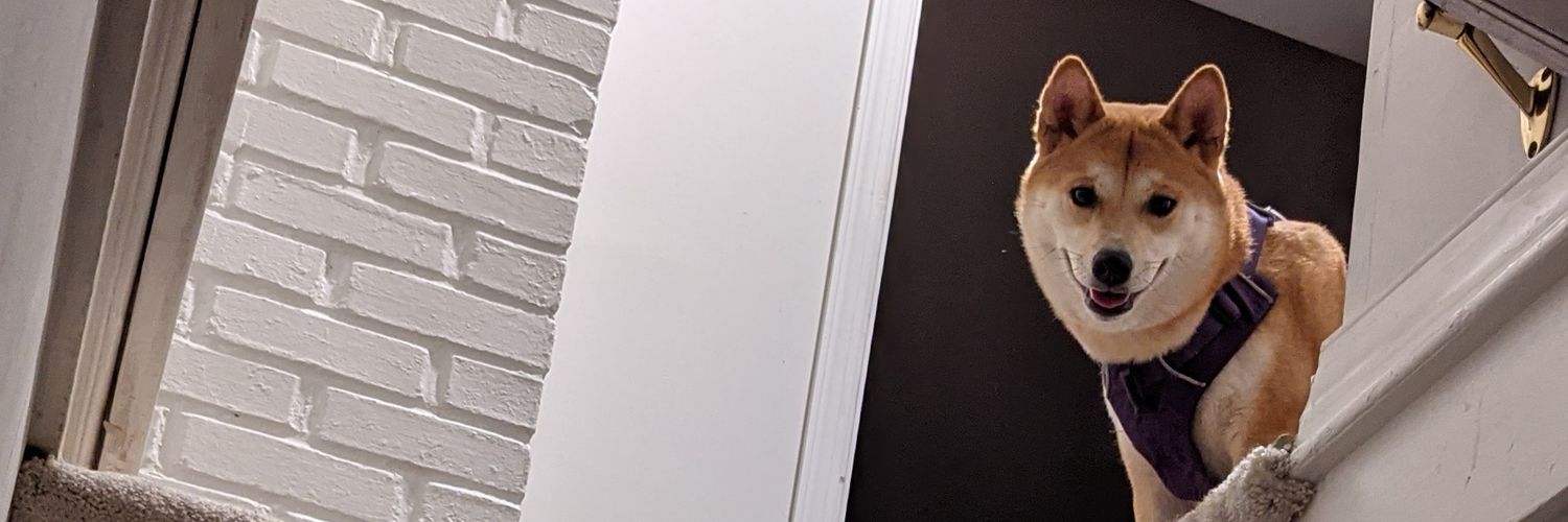 stevefredericks's profile banner image