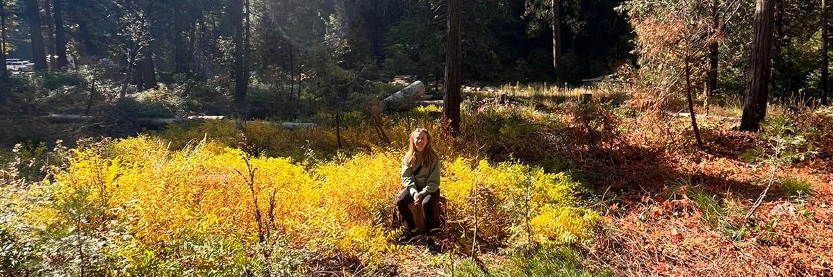 bexbailey's profile banner image