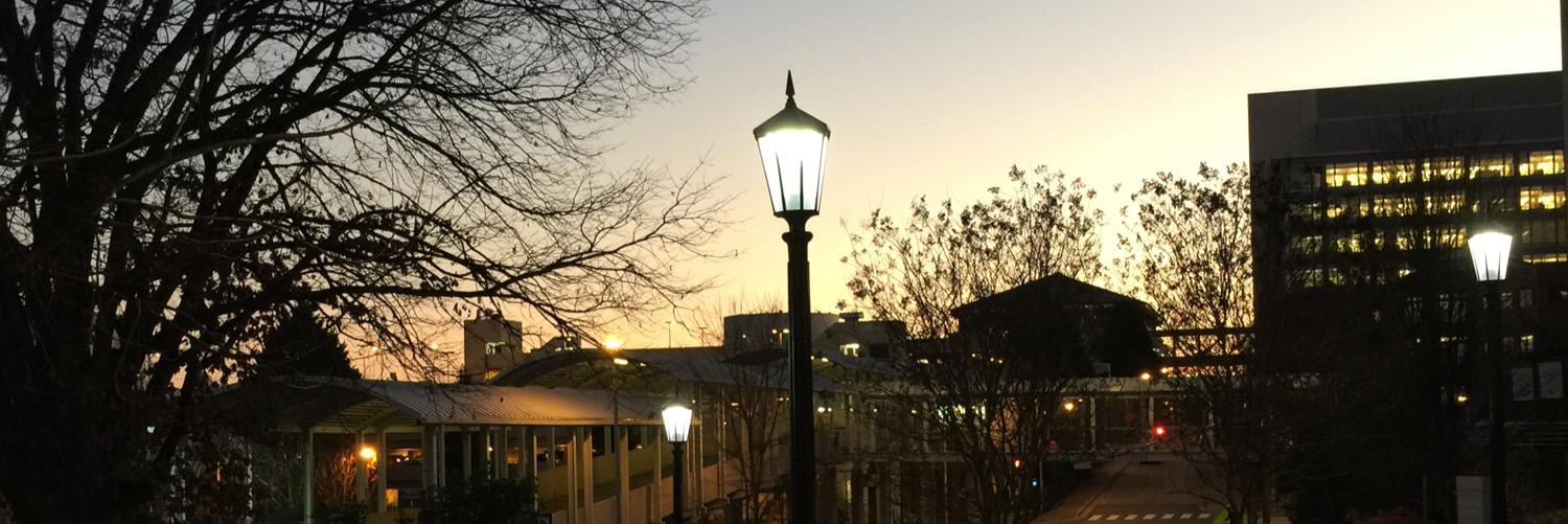 Amy Rezak, MD banner