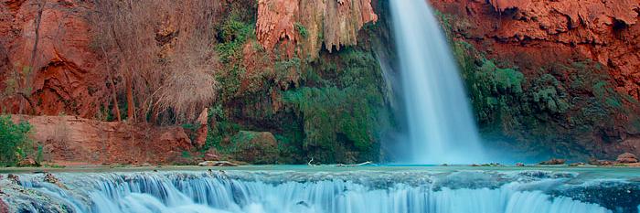 Margaret M. McCluskey banner