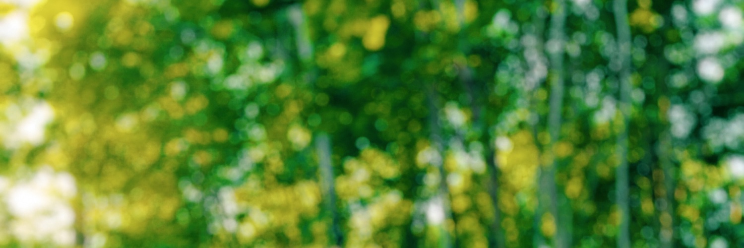 iconamerica's profile banner image