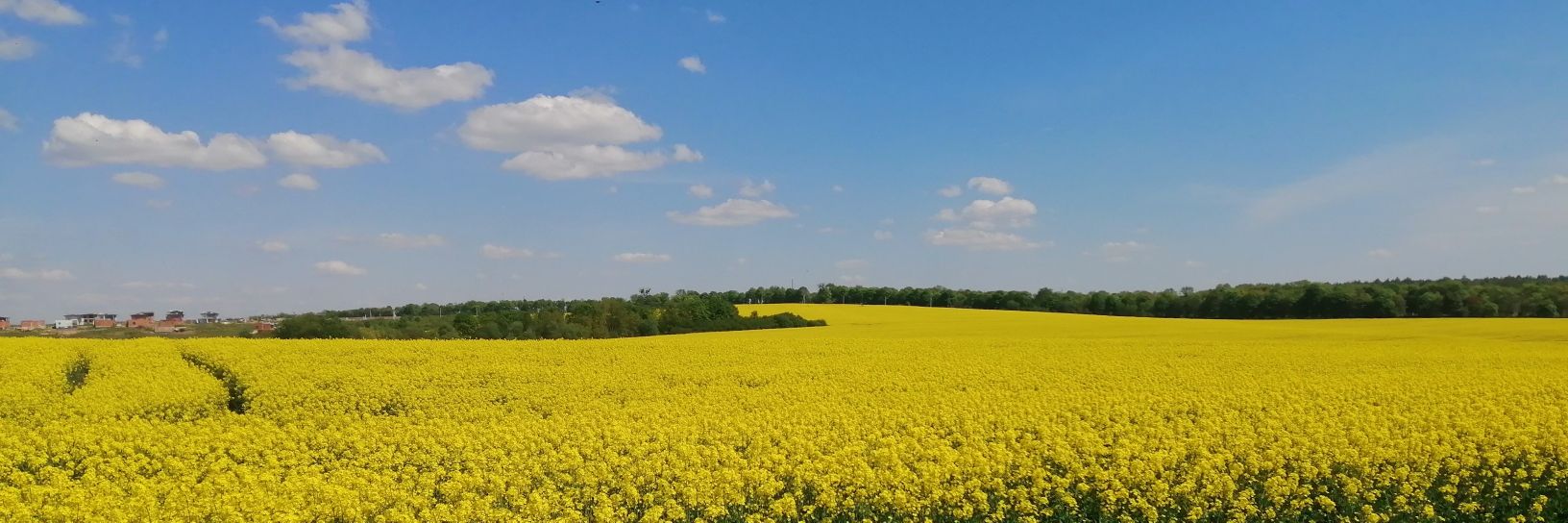 Shtusha_ua's profile banner image