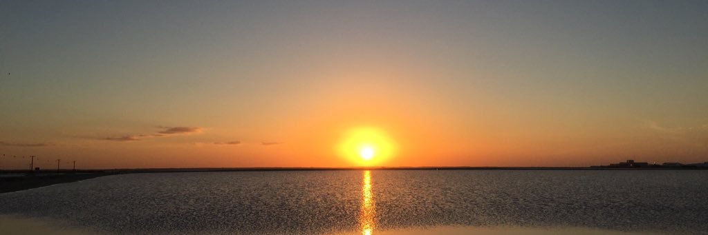 Bryanmarti's profile banner image