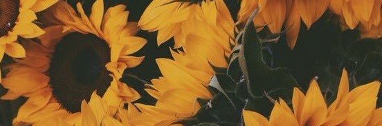 catagonzalez97's profile banner image