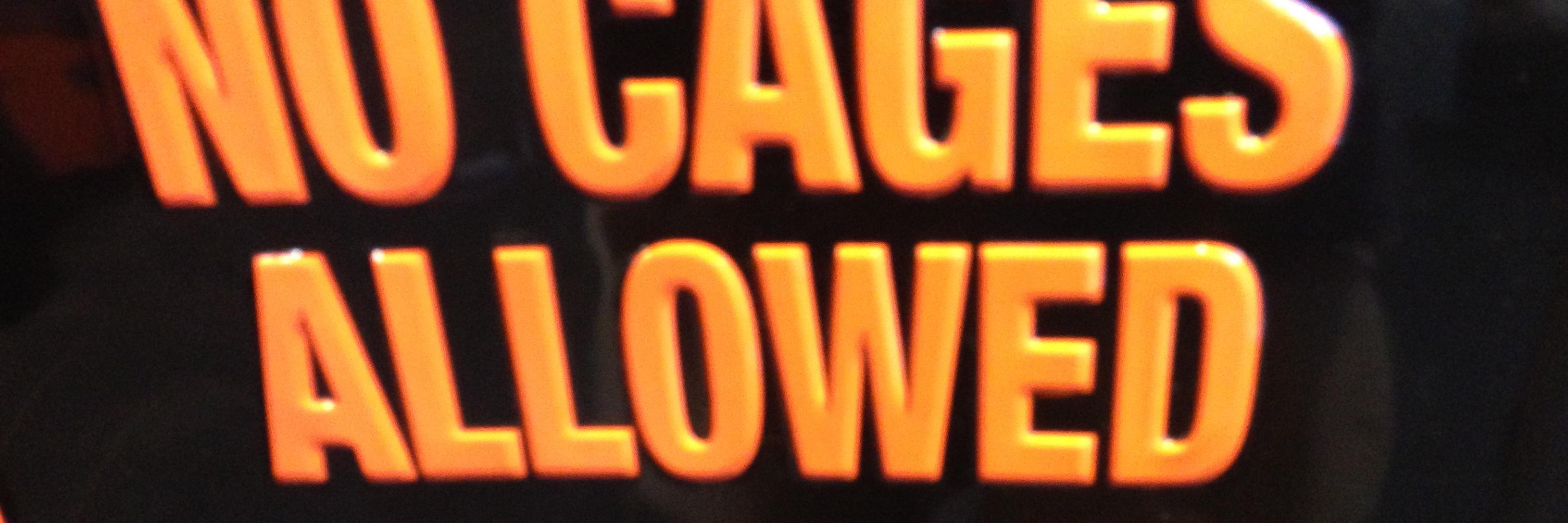 CageBustingTchr's profile banner image
