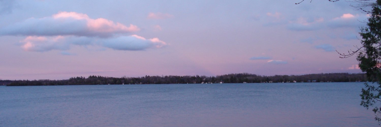 niccimcaleer's profile banner image
