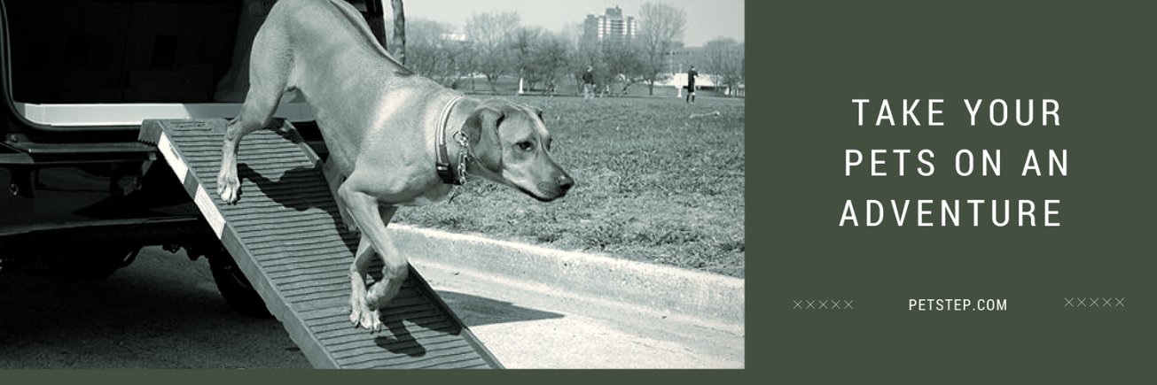 PetSTEP1's profile banner image