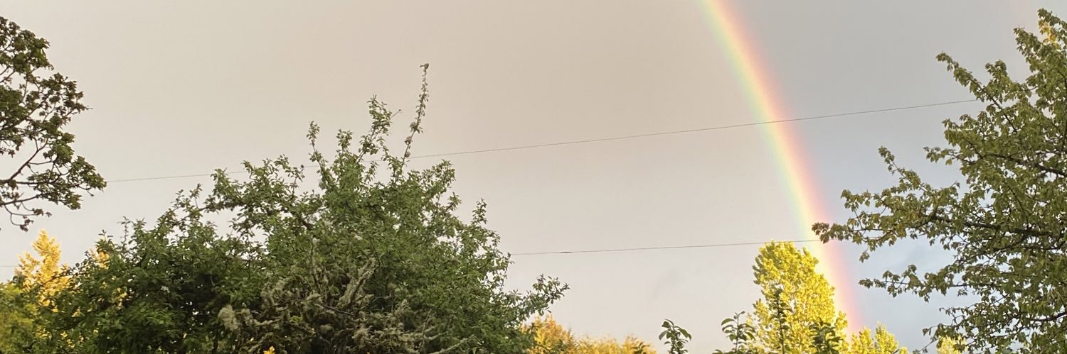 thielstinsonmd's profile banner image