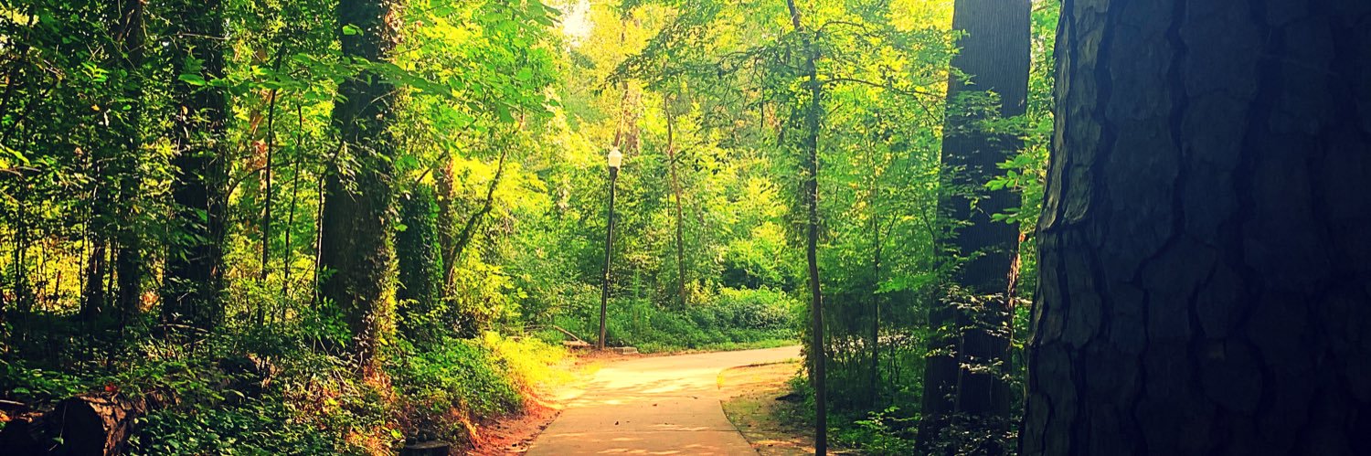 Cayce West Columbia Chamber banner