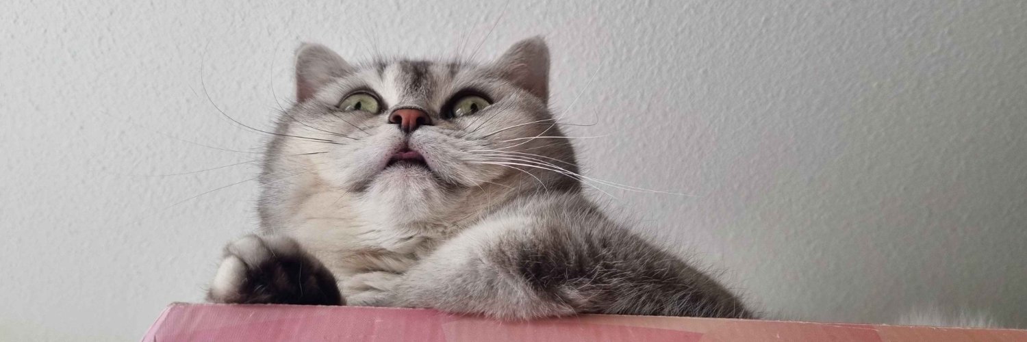 Shij & Luma 💜 (12k! :D) banner