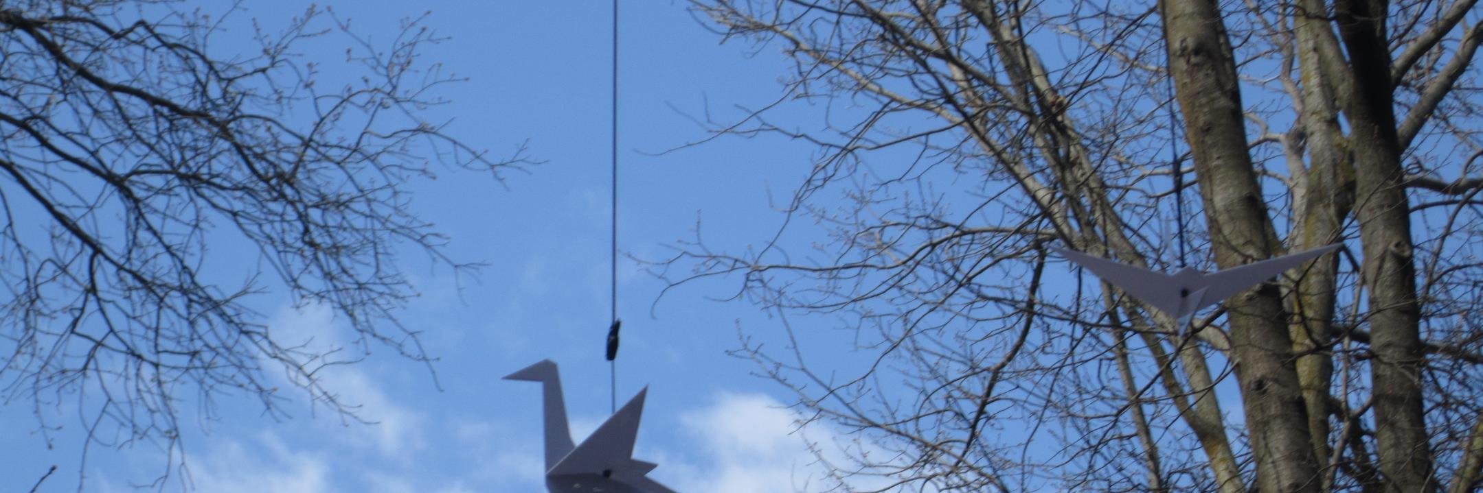 karly jennings banner