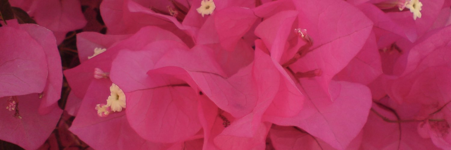 SalmanRawaf's profile banner image
