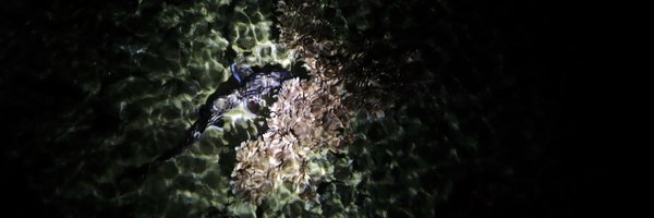 CrazyNatureType Profile Banner