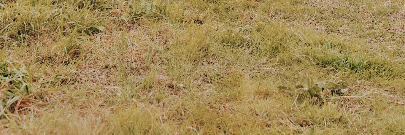 dolay__1210's profile banner image