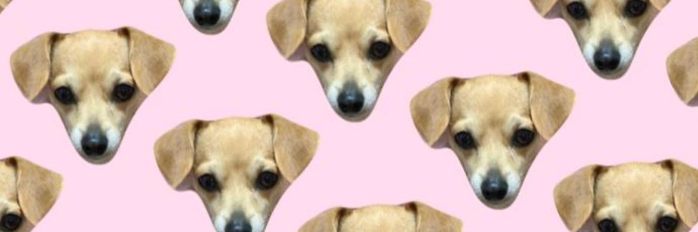 dianadelgado_'s profile banner image