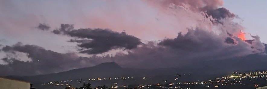 Maciej Piotrowski banner