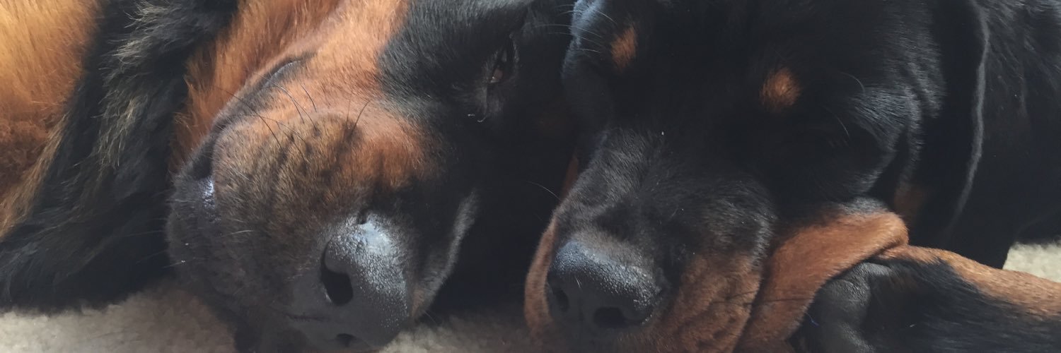 socc3rgur1's profile banner image