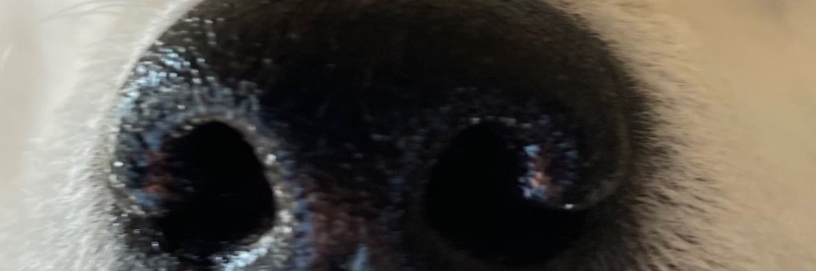 nscrtbti's profile banner image