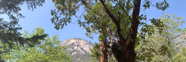 MWilkinsonMD Profile Banner