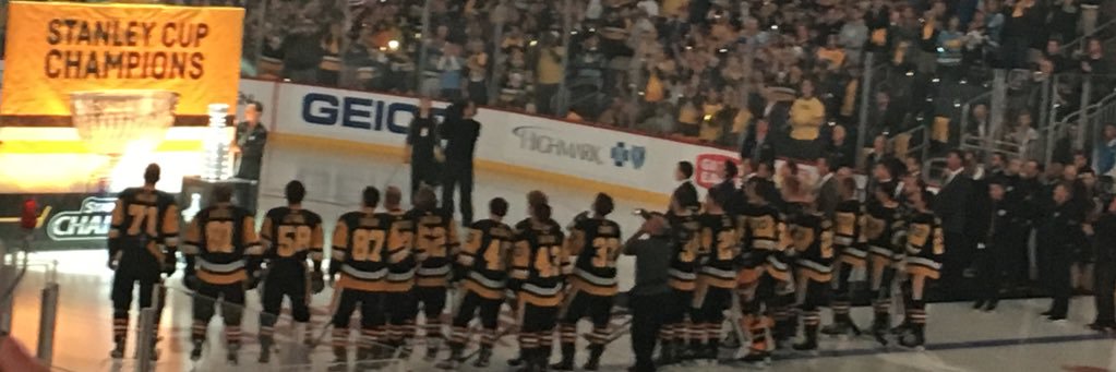 ponterpitt's profile banner image