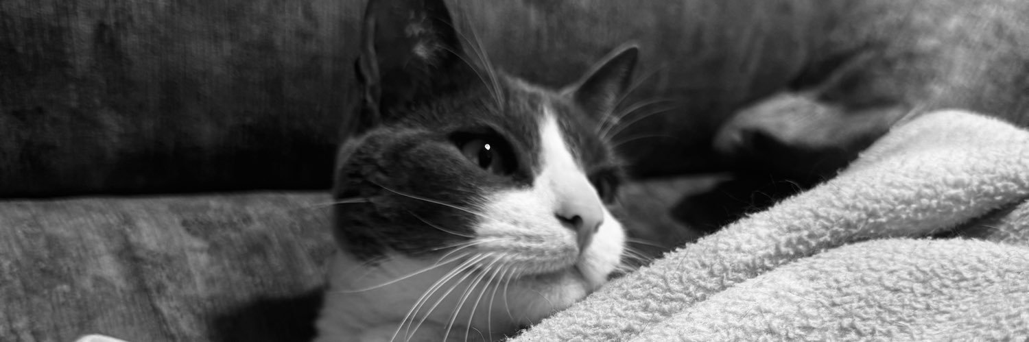 lenfeeeer's profile banner image