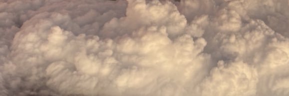 josh wang's banner
