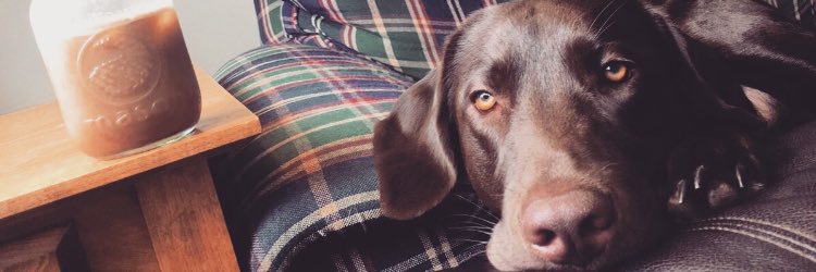 Libby Milburn banner