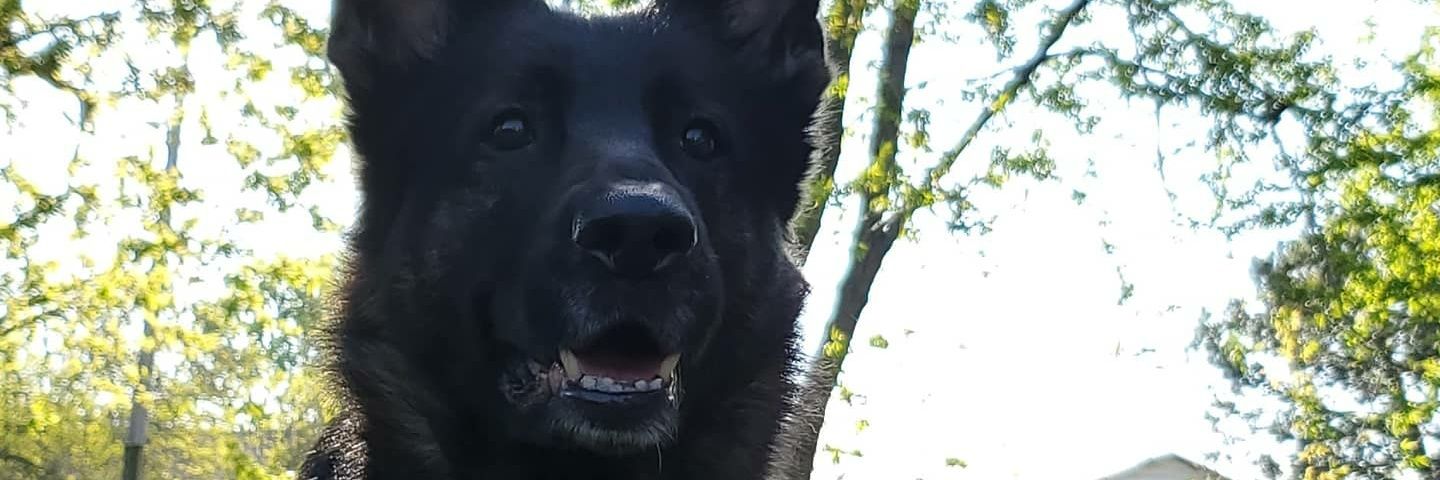 TRXShepherd's profile banner image