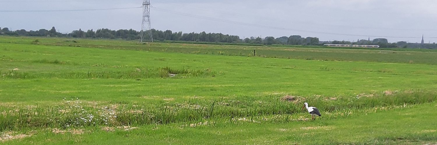 Willa D'Peapole banner