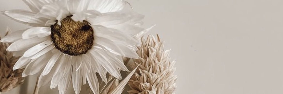 Local_66's profile banner image