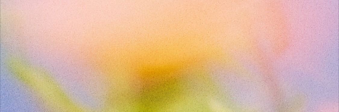 chinpui3's profile banner image