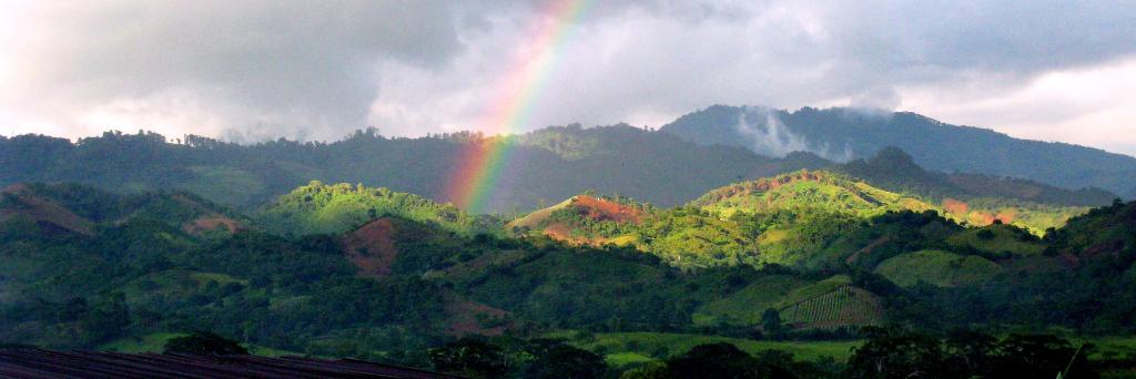 Lara Bryfonski banner
