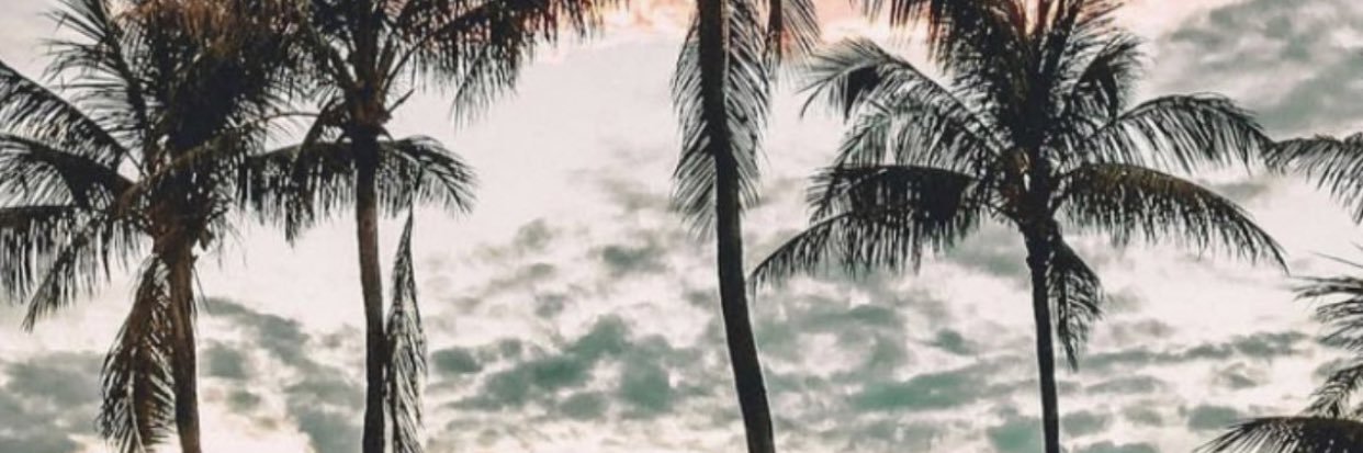 mikukitty25's profile banner image