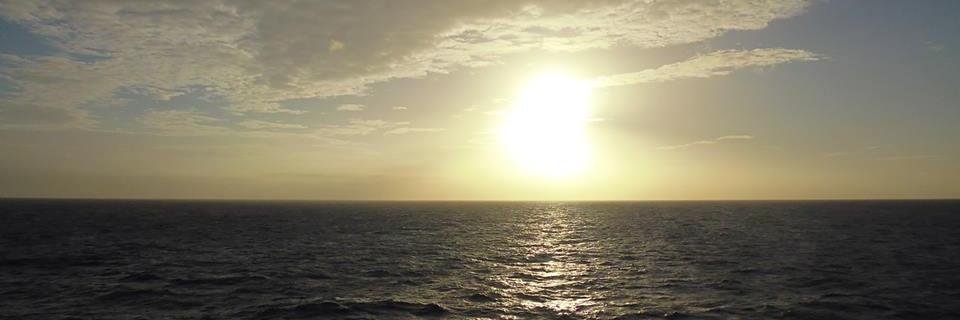 rodriguezrina11's profile banner image