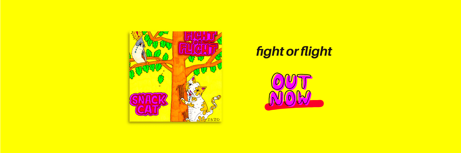 SnackCatBand's profile banner image