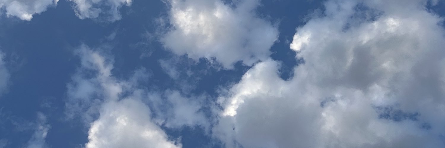 emzeeroach's profile banner image