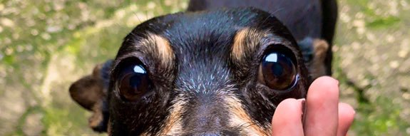 _sljulia's profile banner image