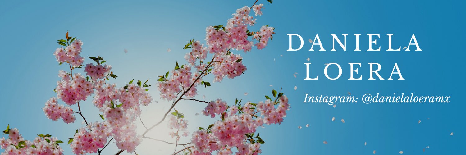 danielaloeramx's profile banner image