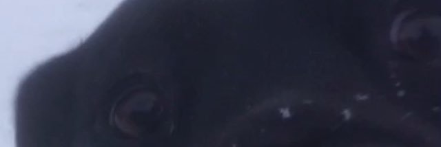 carterant68's profile banner image