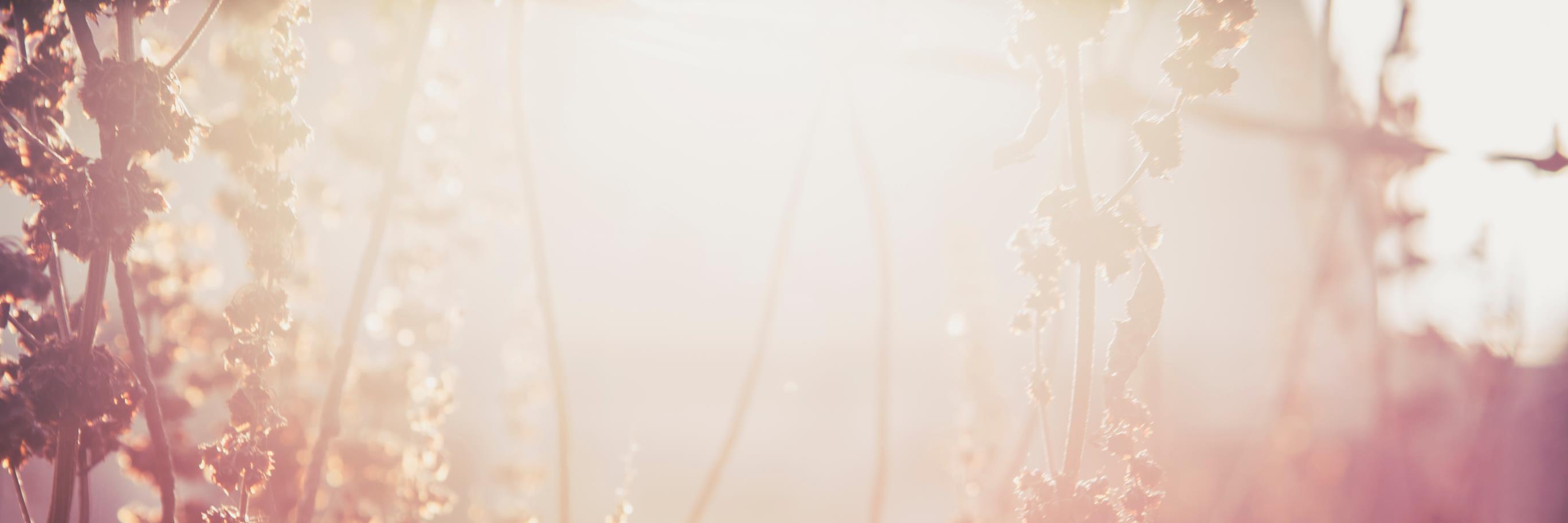 gotomiracle's profile banner image