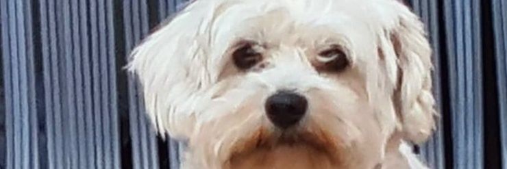 Emilio07FB's profile banner image