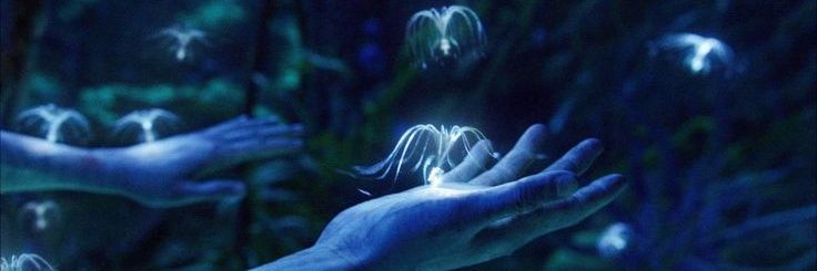 txt dari daihatsu aila bukan ayla banner