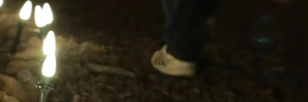 DarkLancer99🐾 banner