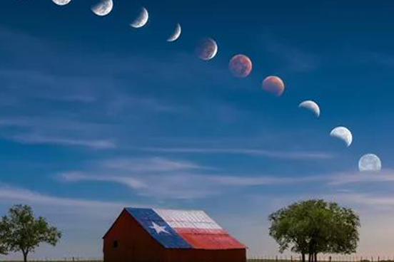 Michelle Houck banner