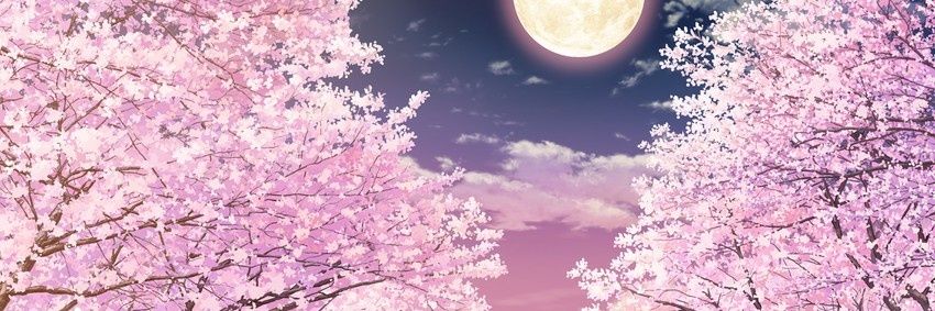 090alice1's profile banner image