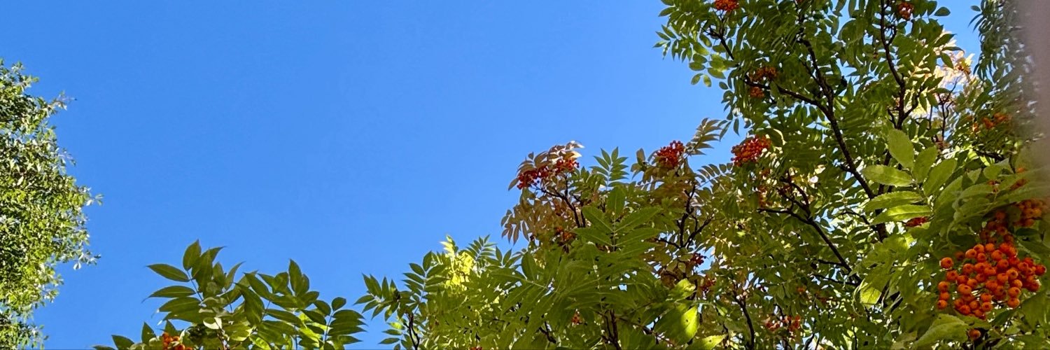 pine_tami's profile banner image