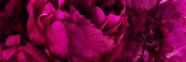 cindy7171's profile banner image